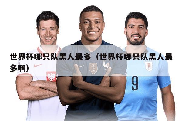 世界杯哪只队黑人最多（世界杯哪只队黑人最多啊）