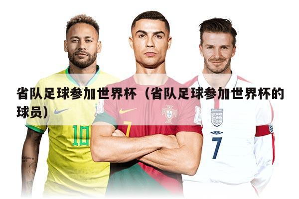 省队足球参加世界杯（省队足球参加世界杯的球员）