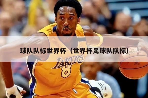 球队队标世界杯（世界杯足球队队标）