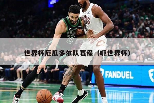 世界杯厄瓜多尔队赛程（呃世界杯）