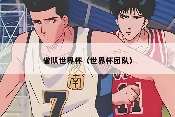 省队世界杯（世界杯团队）