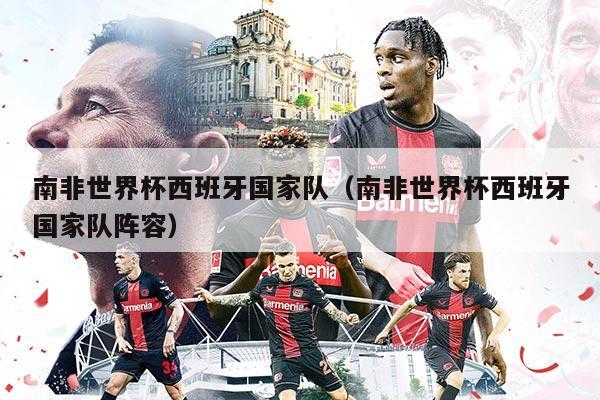 南非世界杯西班牙国家队（南非世界杯西班牙国家队阵容）