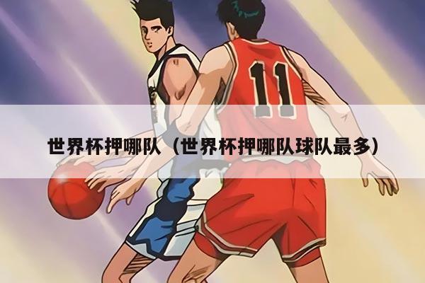 世界杯押哪队（世界杯押哪队球队最多）