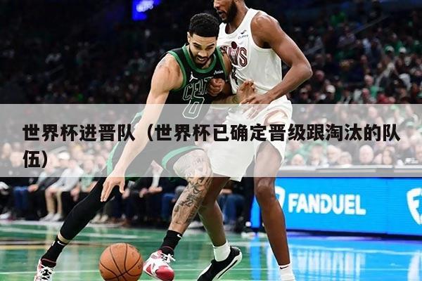 世界杯进晋队（世界杯已确定晋级跟淘汰的队伍）