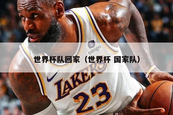 世界杯队回家（世界杯 国家队）