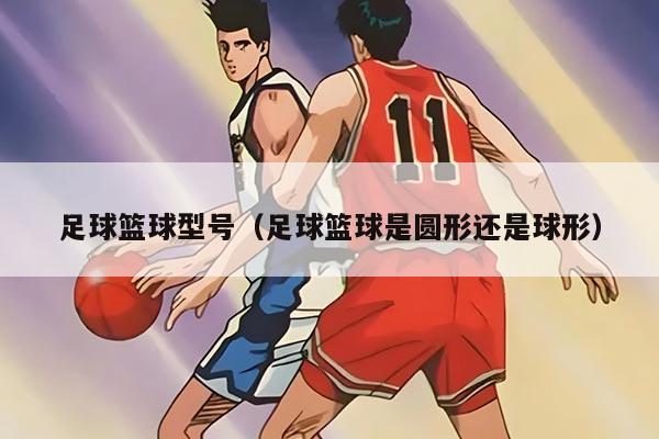 足球篮球型号（足球篮球是圆形还是球形）