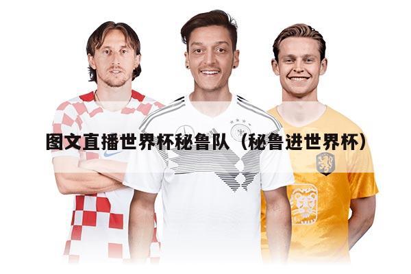 图文直播世界杯秘鲁队（秘鲁进世界杯）