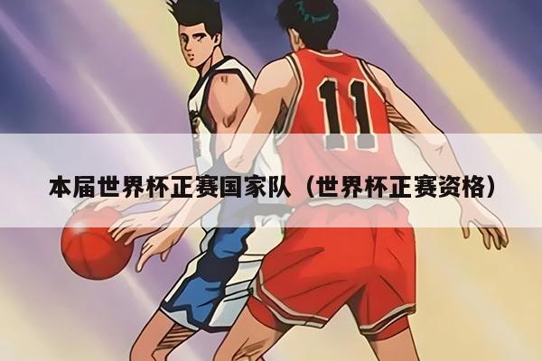 本届世界杯正赛国家队(世界杯正赛资格)