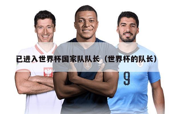 已进入世界杯国家队队长(世界杯的队长)