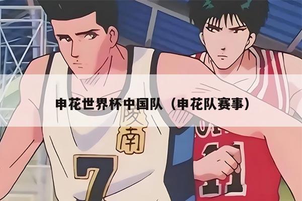 申花世界杯中国队（申花队赛事）