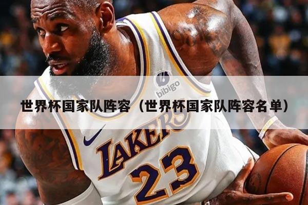 世界杯国家队阵容（世界杯国家队阵容名单）